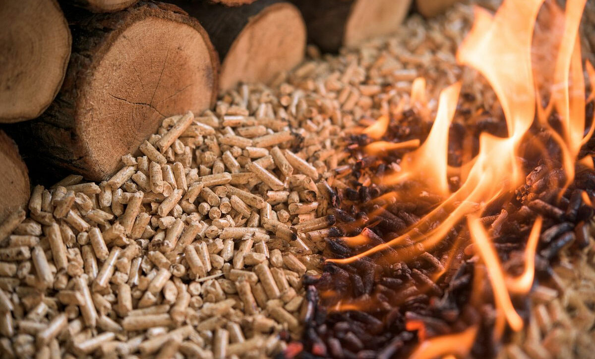 Estufas de Pellets Baratas | Estufas de Pellets Piazzetta y Foco